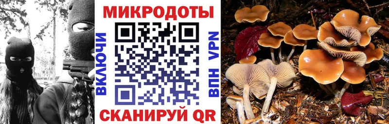 Купить закладки  Рыльск  Галлюциногенные грибы Psilocybe 